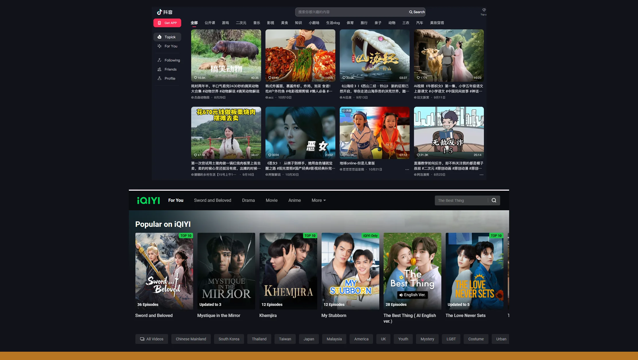 The Market Landscape: Douyin vs iQIYI